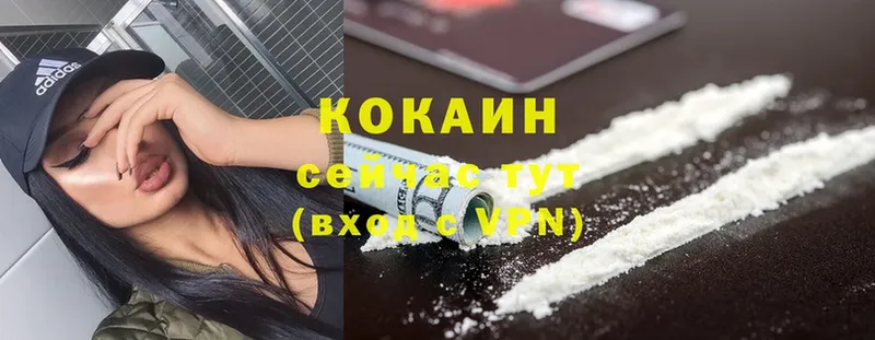 цена   Орск  Cocaine Fish Scale 